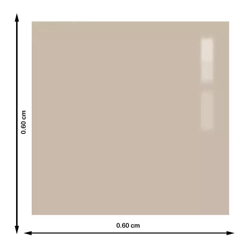 PISO 60X60 #CT6YP000A PULI-BONE - Imagen 3